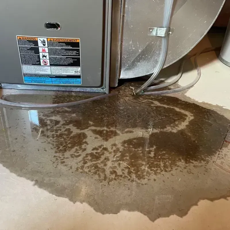 Appliance Leak Cleanup in Bellwood, IL